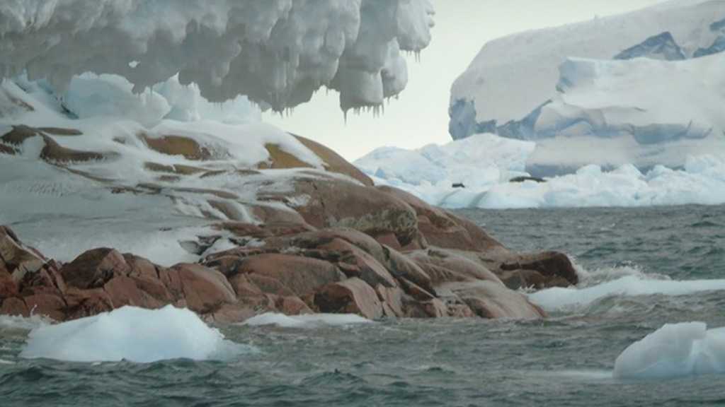 Melting Ice Uncovers Hidden Island in Antarctica
