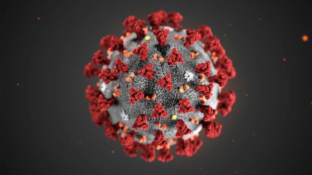 US Coronavirus Death Toll Rises To 12