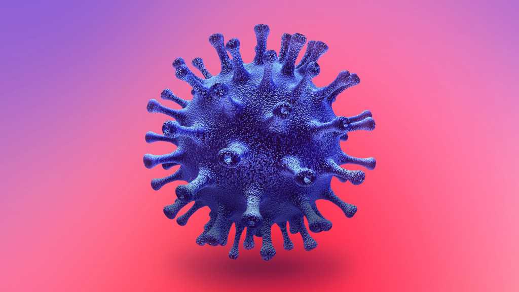 World’s Coronavirus Infected Cases Reach 785,000