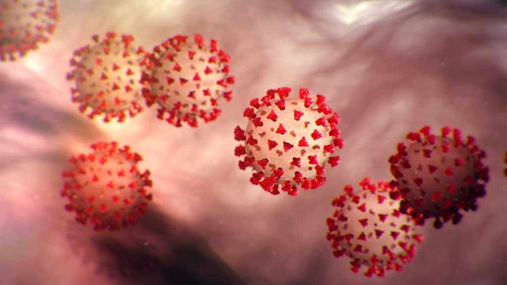 World’s Coronavirus Infected Cases Top 900k