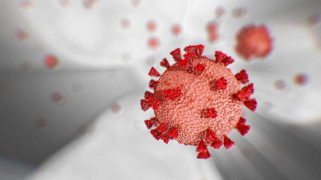 Coronavirus Likely, But Not Certainly, Occurred Naturally - US Military