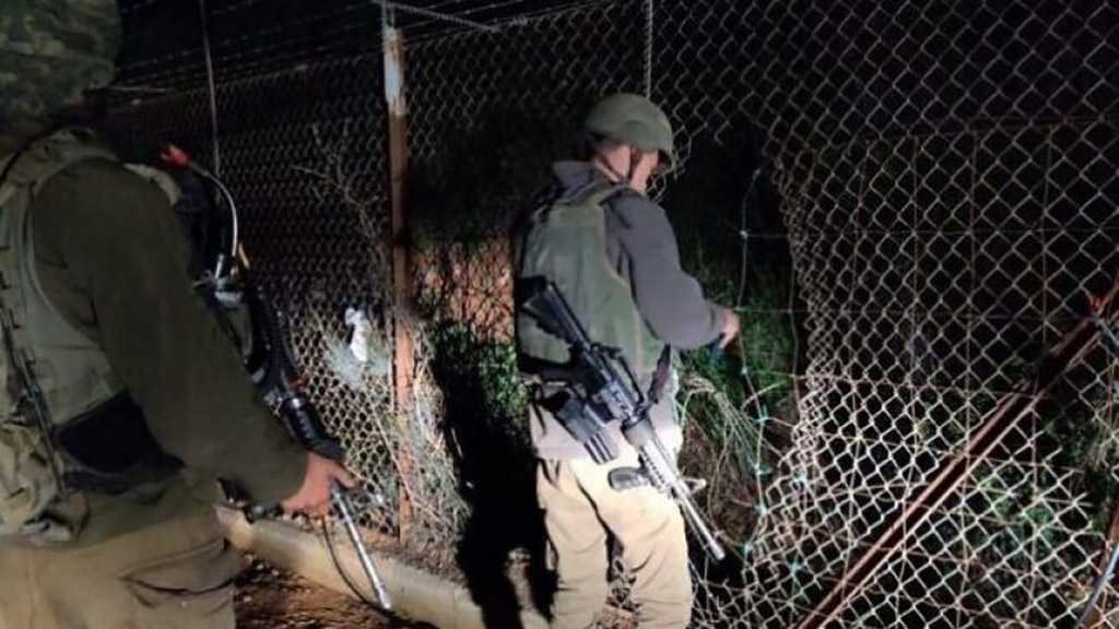 How Did The Enemy Interpret The Lebanese-Palestinian Border Fence Incident?