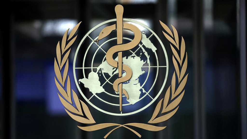 WHO Suspends Operations in Much of Yemen