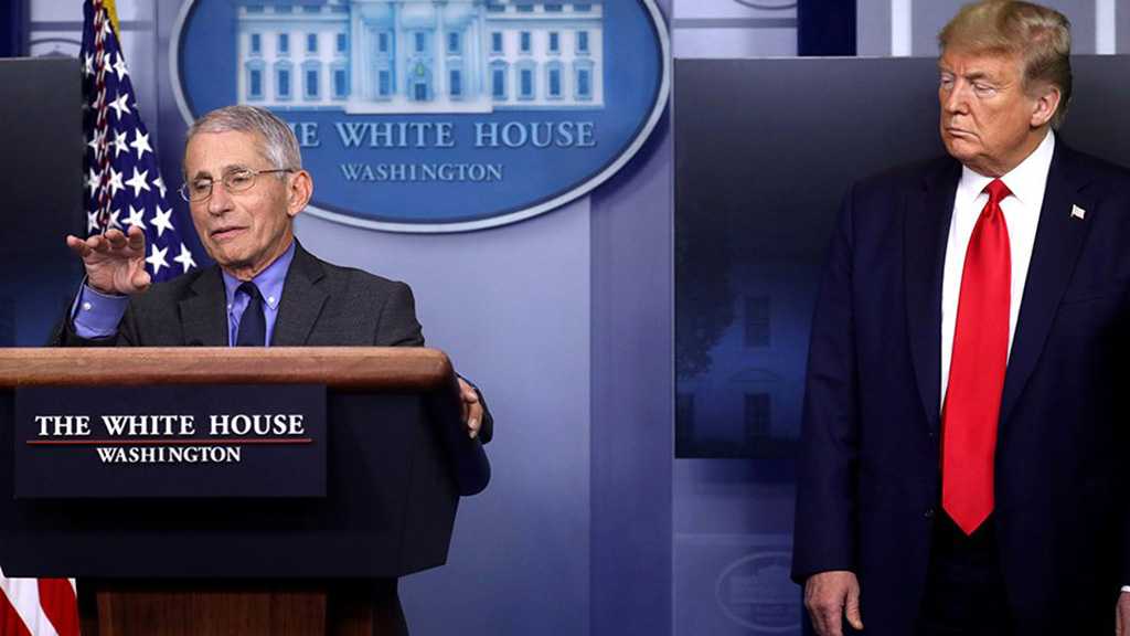 The Brawl President: Trump Deepens Rift with Top Doctor Anthony Fauci over Reopening US