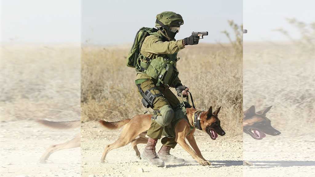 ‘Israeli’ Military Conducted Secret Weapons Tests on Animals