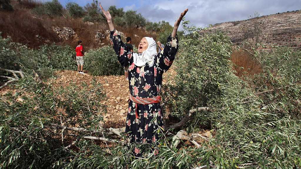 Palestinians Prepare for Annexation