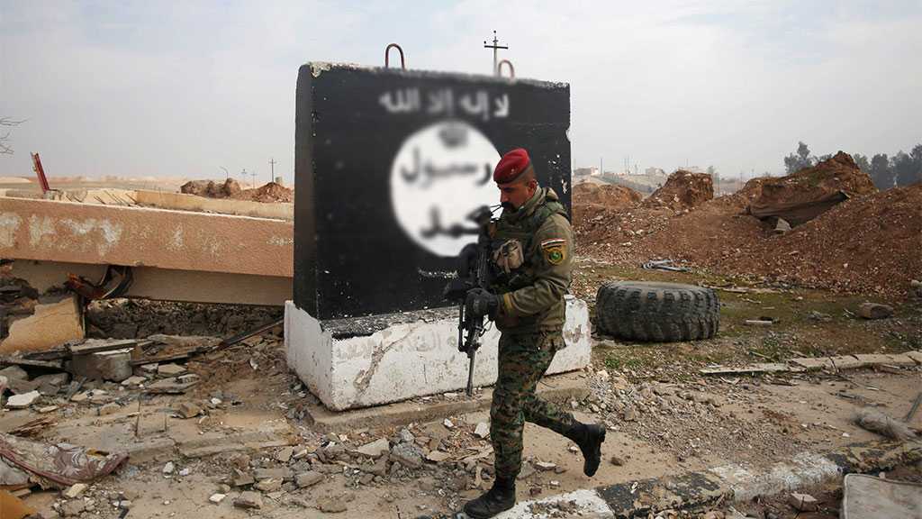 Iraq Army Kills 5 Daesh Suicide Bombers in Operation near Baghdad