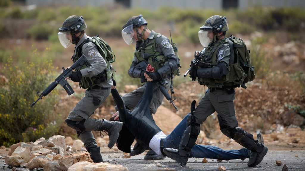 UN Rights Expert Lashes Out At ‘Israeli’ Anti-Palestinian ‘Collective Punishment’