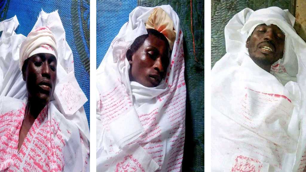 Nigeria Crackdown: Three Mourners Martyred by Police Fire During Ashura Commemoration in Kaduna