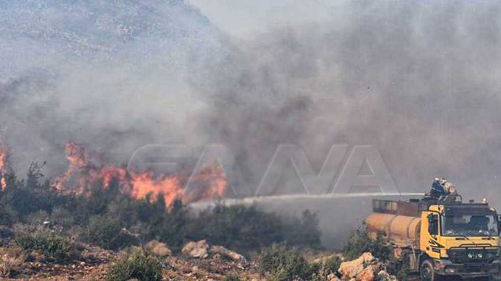 Syria Wildfires Consume Large Areas, Firefighting Efforts Underway