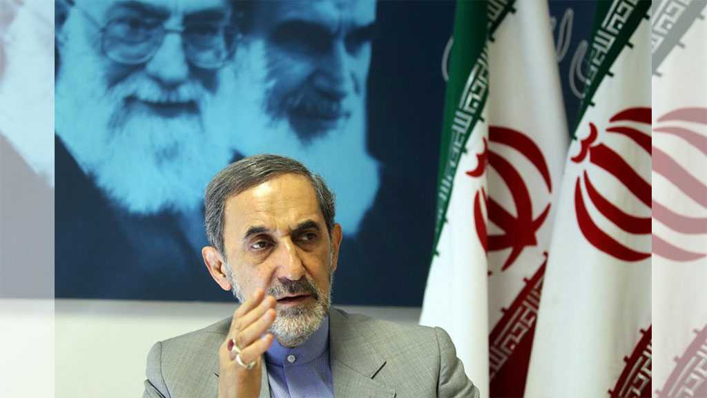 Resistance Sole Way to Liberate Palestine - Velayati