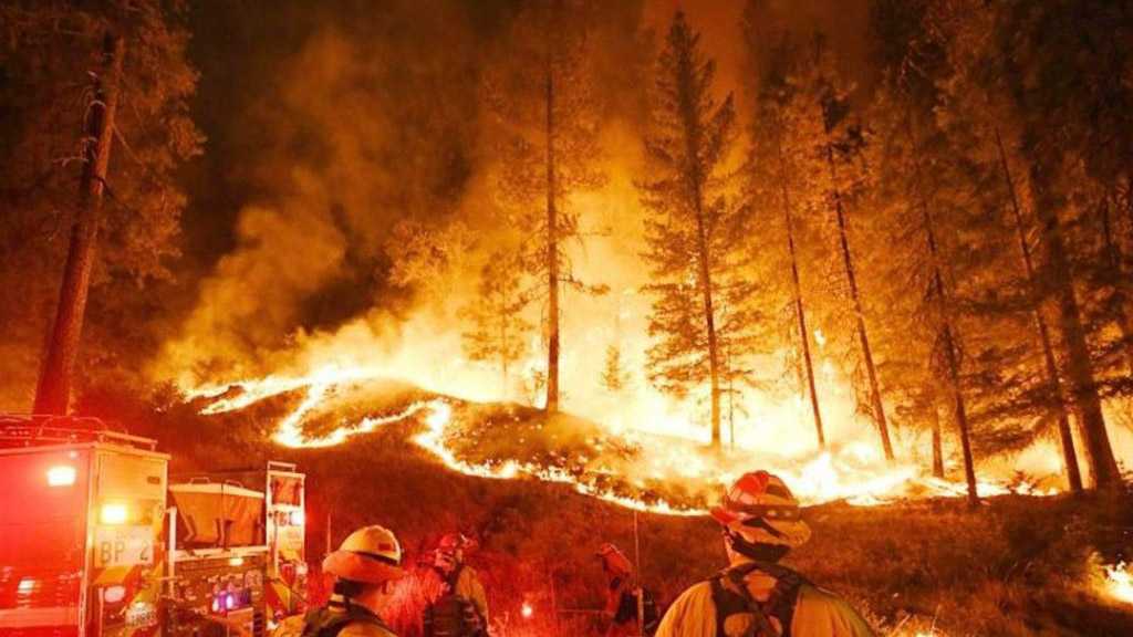Massive Forest Fires Erupt Across Lebanon