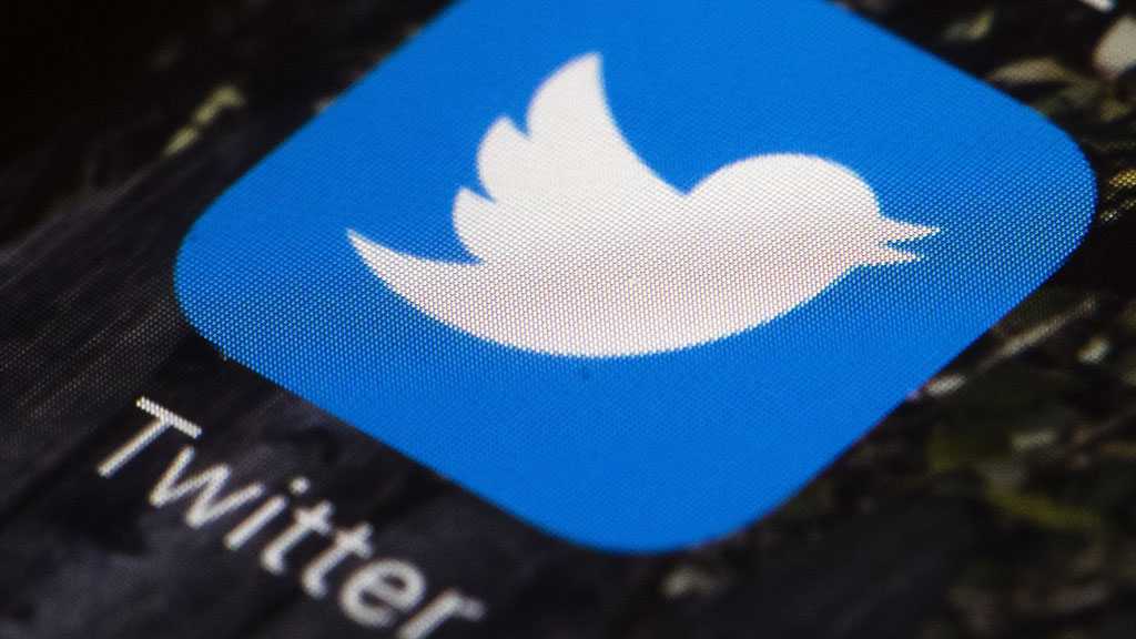 Twitter Suspends Fraudulent Pro-Trump Accounts