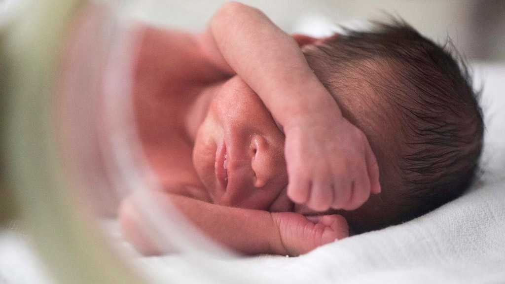Polluted Air Killing Half a Million Babies a Year across Globe