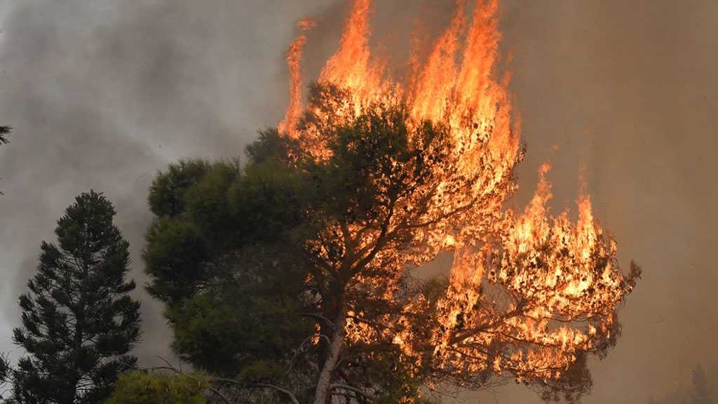 Deadly Fires Break Out Across Lebanon amid Funding Shortages