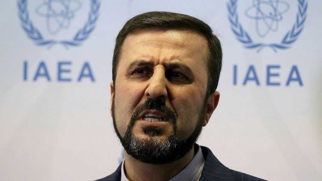 Unilateral Sanctions Hamper Fight Against Coronavirus in Developing States - Tehran