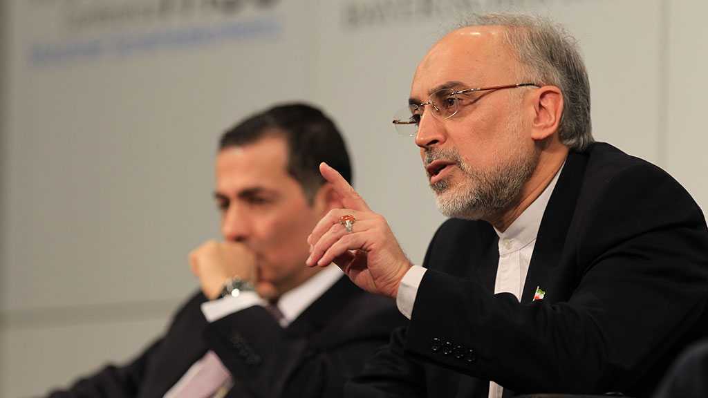 AEOI Chief: Iran’s Distrust of US Based on Realities