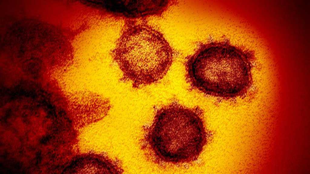 First Case of COVID-19 Mutated Strain from S Africa Identified in Portugal