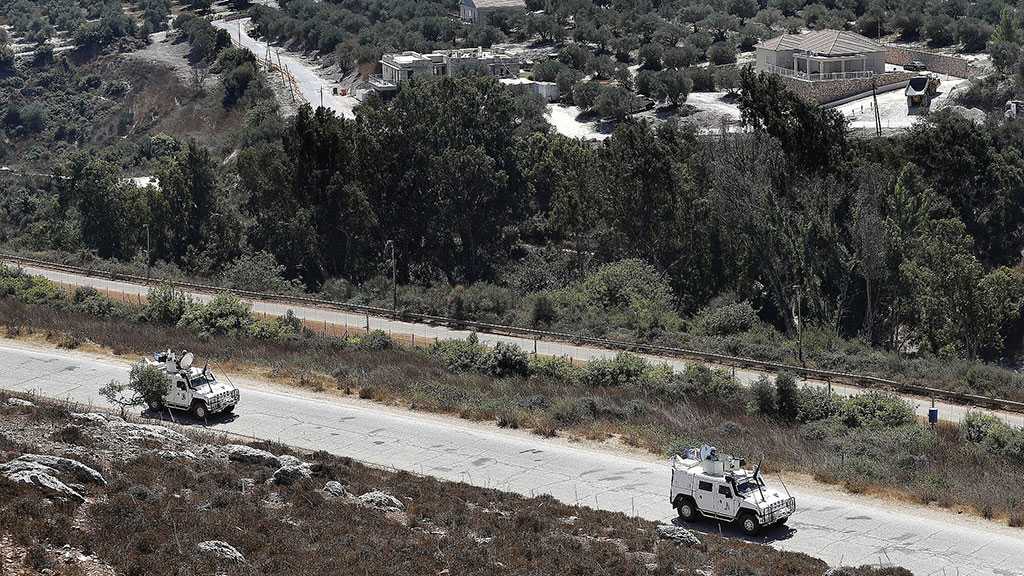 IOF Seize 7 Cows That Crossed from Lebanon to Occupied Palestine