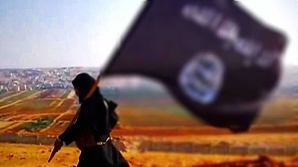 UN Warns: Al-Qaeda, Daesh May Stage “Pre-Planned Attacks” after Lifting COVID Restrictions