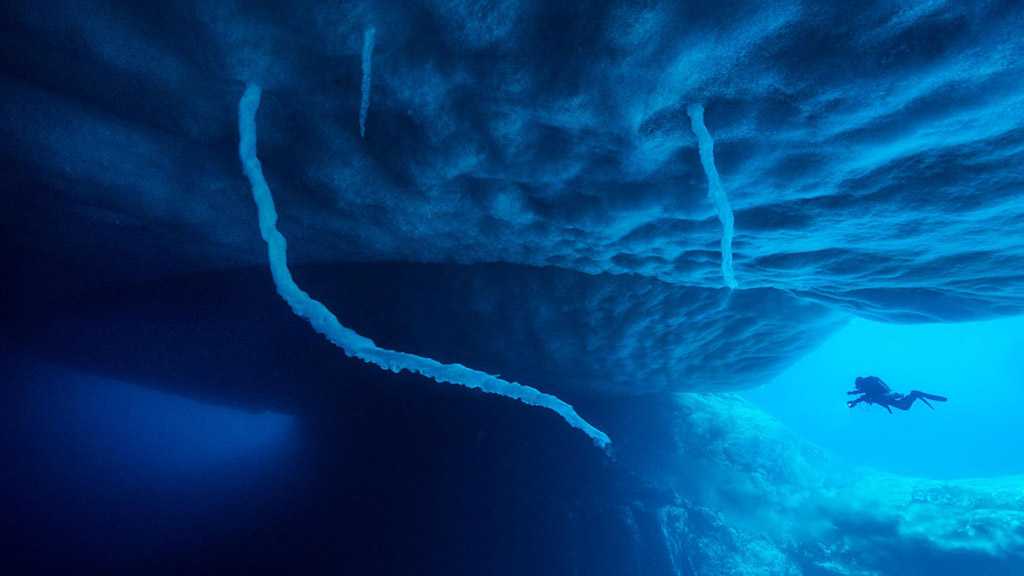 Strange Lifeforms Found Deep below Antarctic Ice