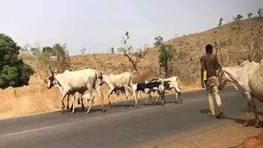 35 Dead in Chad Herder-farmer Clashes