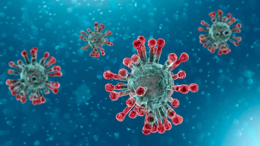 India Discovers 240 New, Possibly More Infectious Covid-19 Strains