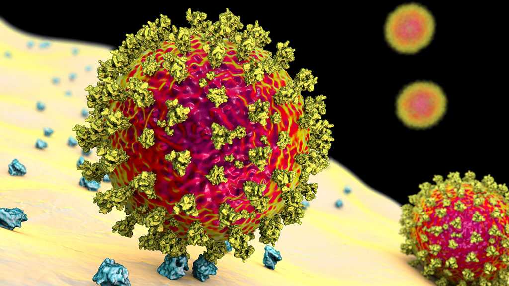 Worrying New Coronavirus Variant Discovered In New York City