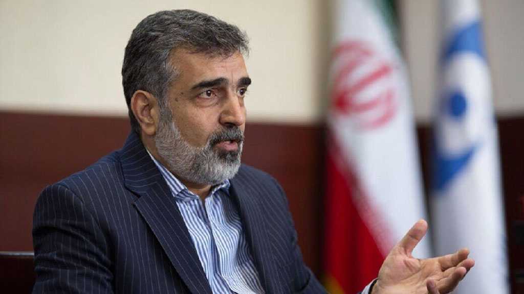 Iran Won’t Hand Over Data to IAEA Until Sanctions Lifted - AEOI