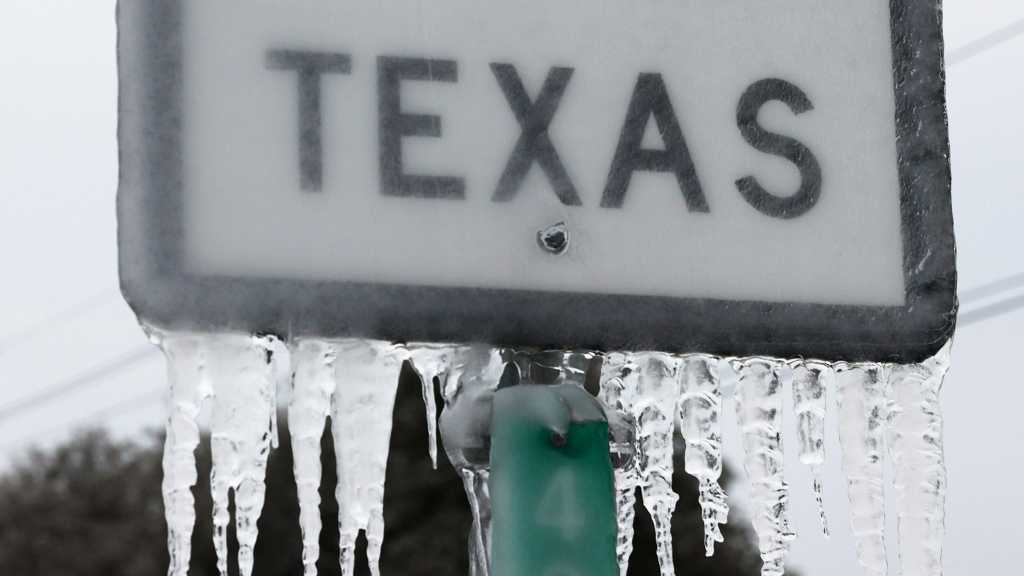 Texas Power Grid Operator Axes Its CEO after Deadly Blackout Caused By Winter Storm
