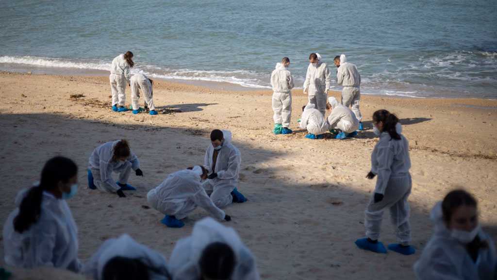 Greenpeace Slams ‘Israeli’ Charge of Iranian Eco-terror