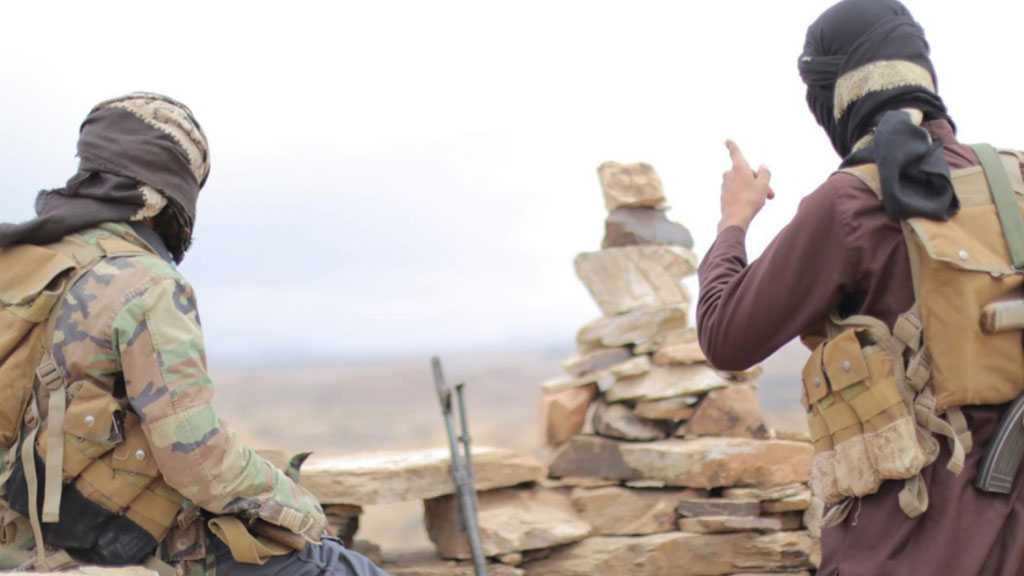 Yemeni Intelligence Agency Details Terror Activities of Qaeda Leaders, Operatives in Marib