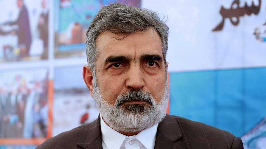 Iran’s %20 Enriched Uranium Stock Hits 55kg - AEOI