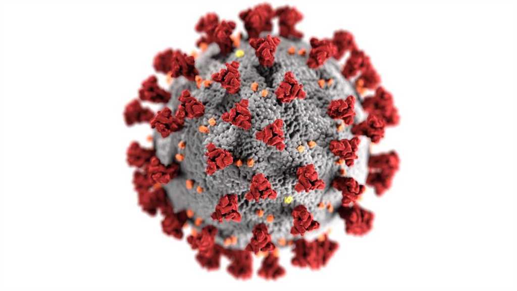 Lebanon’s Coronavirus: 31 More Deaths, 2,213 New Cases