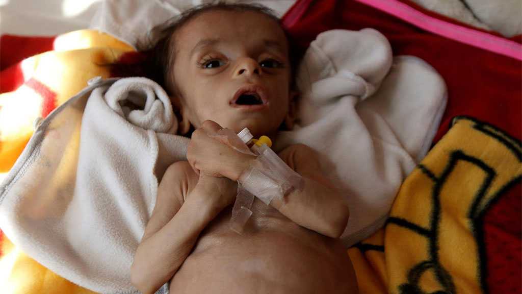 Earth is Starving: Millions at Risk of Famine without Urgent Help