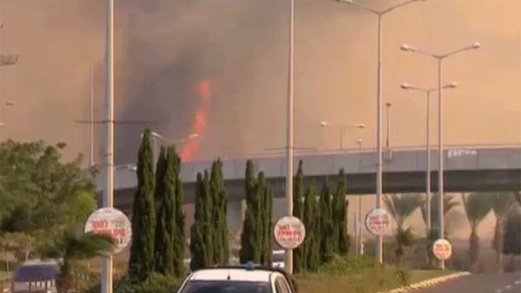Fire Breaks out in Field Near Ben Gurion Airport