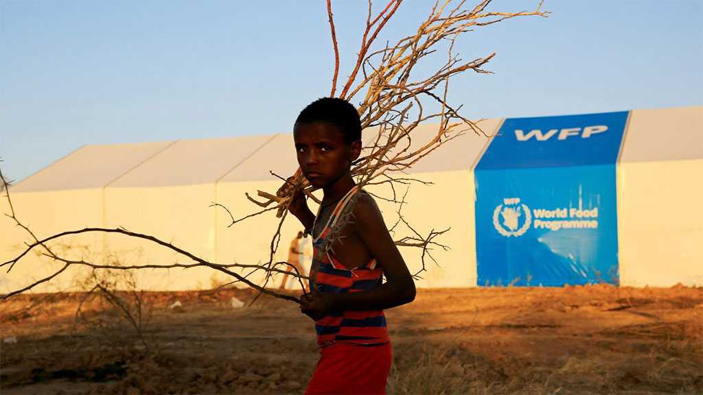 Alarming Malnutrition in Ethiopia’s War-hit Tigray