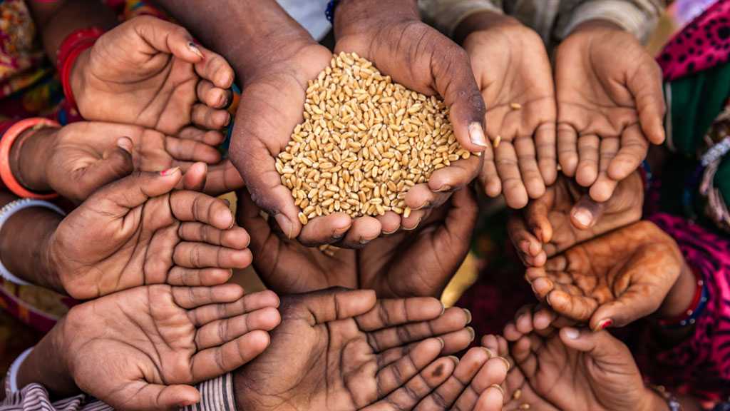 155 Million People Faced Severe Hunger Last Year – UN