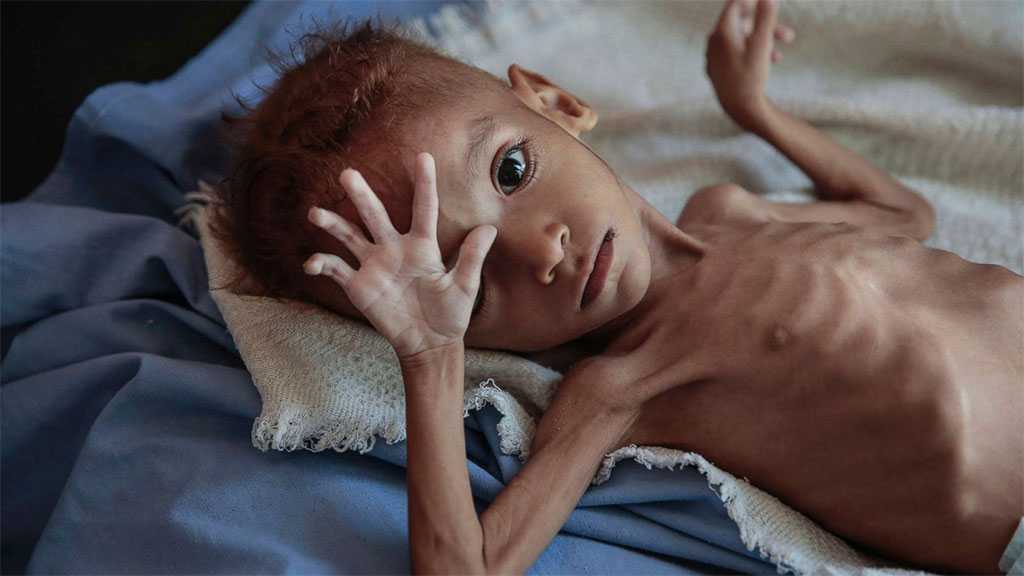 US Senators Call on Biden to Demand Saudi End of Blockade Tactics on a Starving Yemen