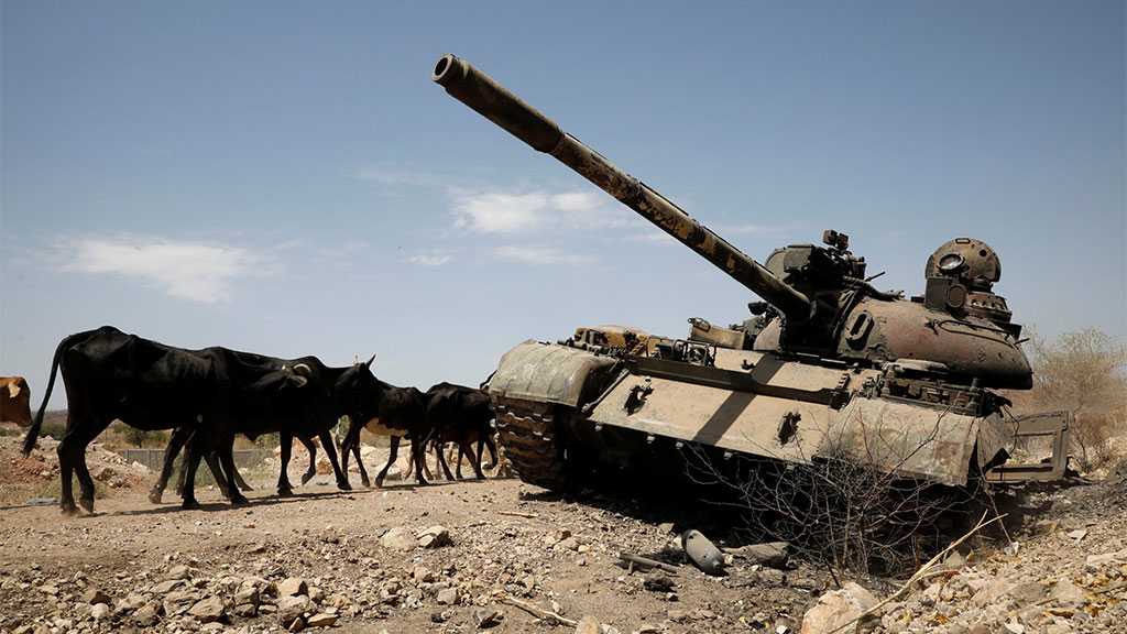 Ethiopia Declares Ceasefire as Rebels Retake Mekelle