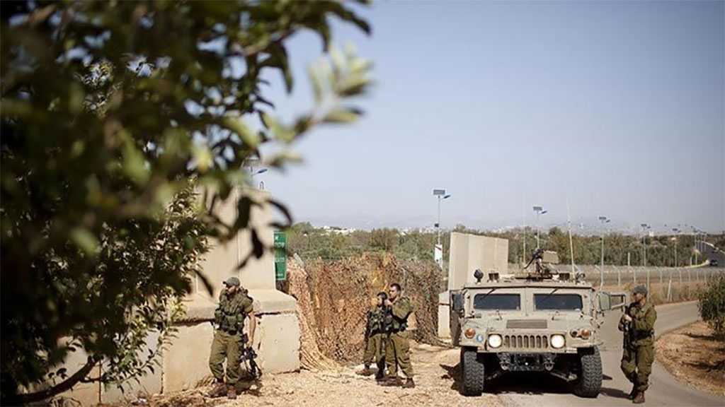 Zionist Media: “Dumb” Fences, Security Negligence along Lebanon’s Border