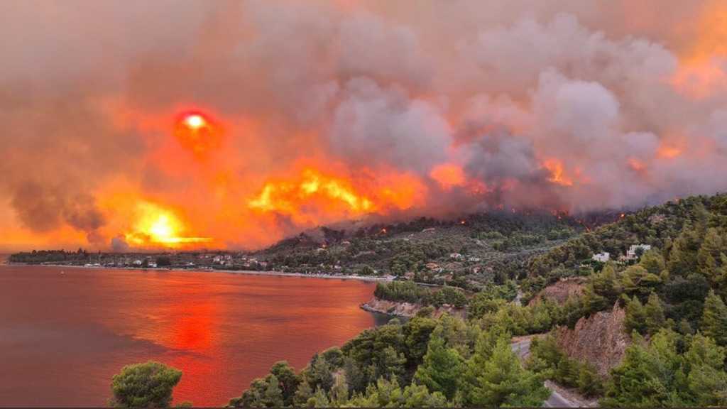 Wildfires Hit Ancient Olympia in Greece and Thermal Plant in Turkey