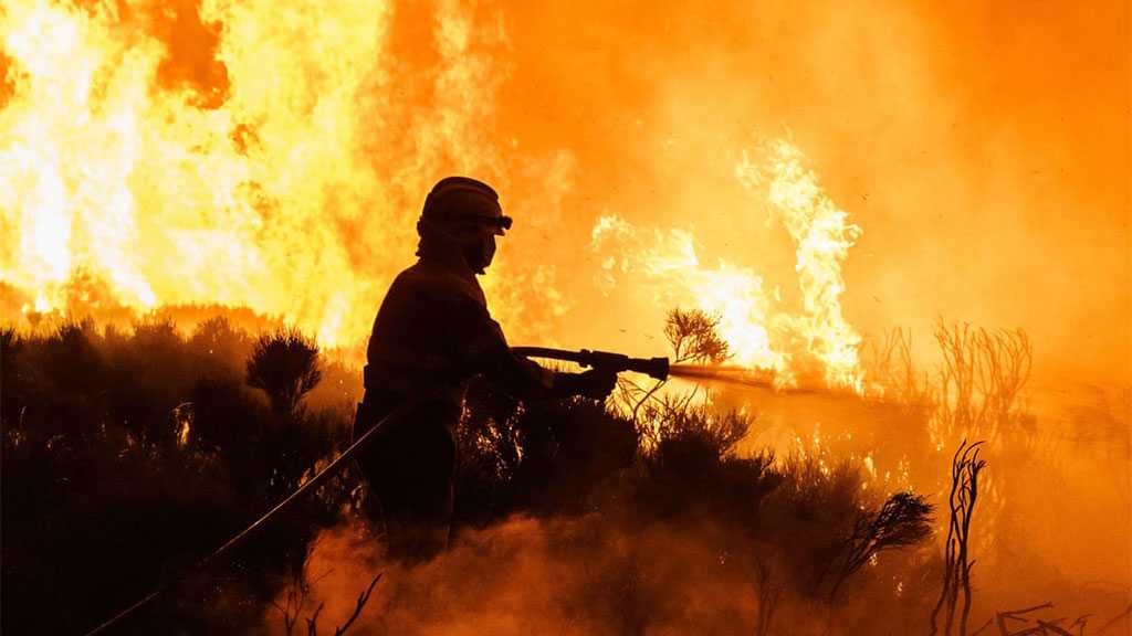 Humans ‘Pushing Earth Close To Tipping Point’, Say Most In G20