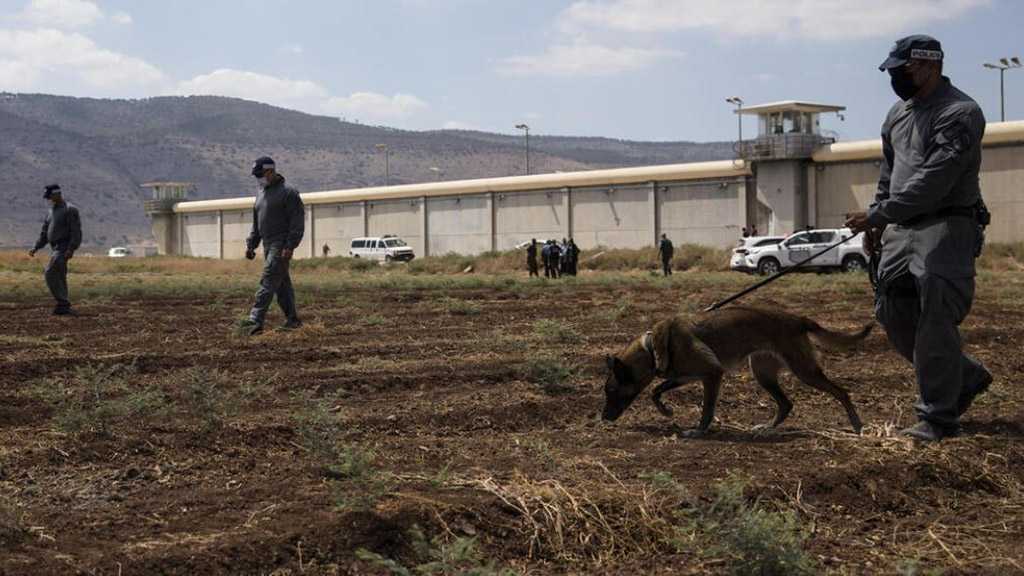 “Israel” in Chaos after Heroic Prison Break by Palestinians