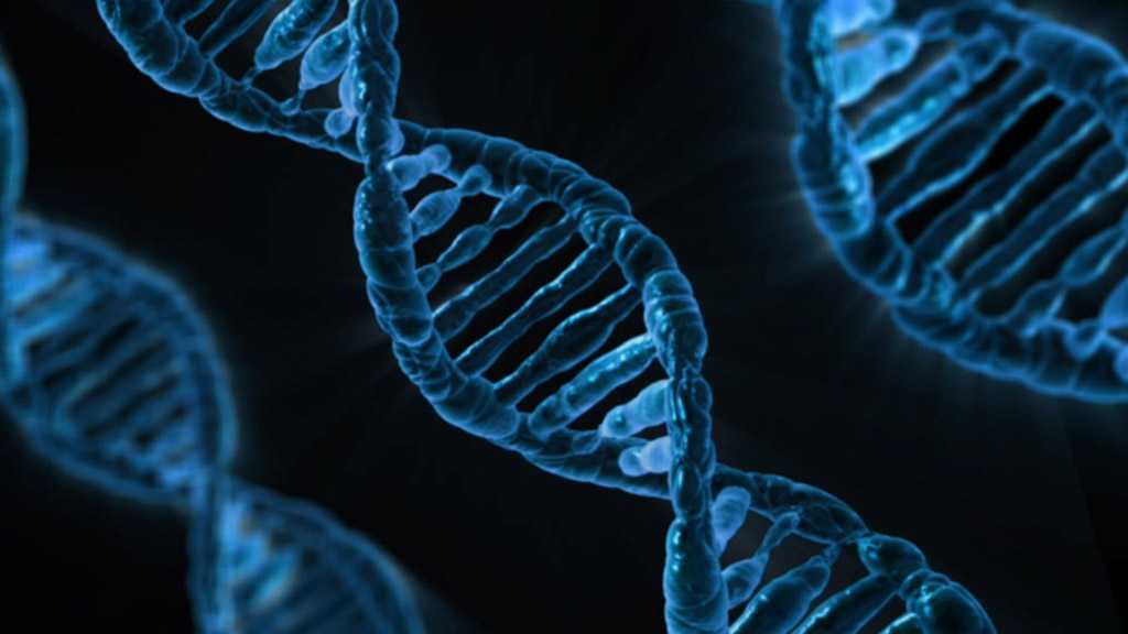Scientists Discover Genes Directly Responsible for Obesity