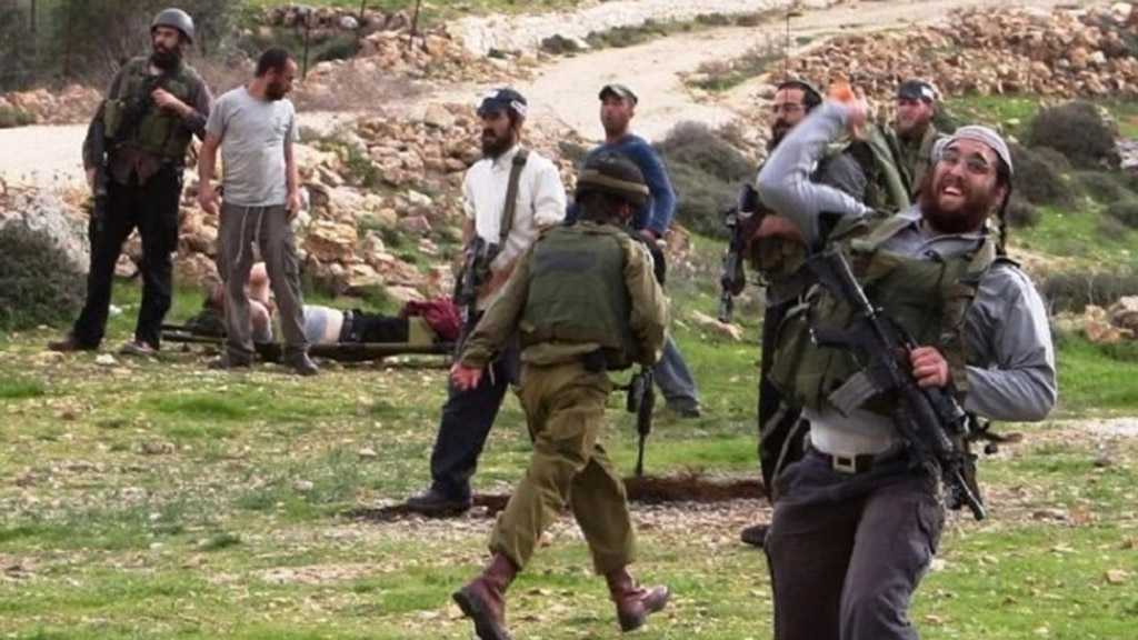 ’Israeli’ Group: 451 Settler Attack on Palestinians in 2 Years 