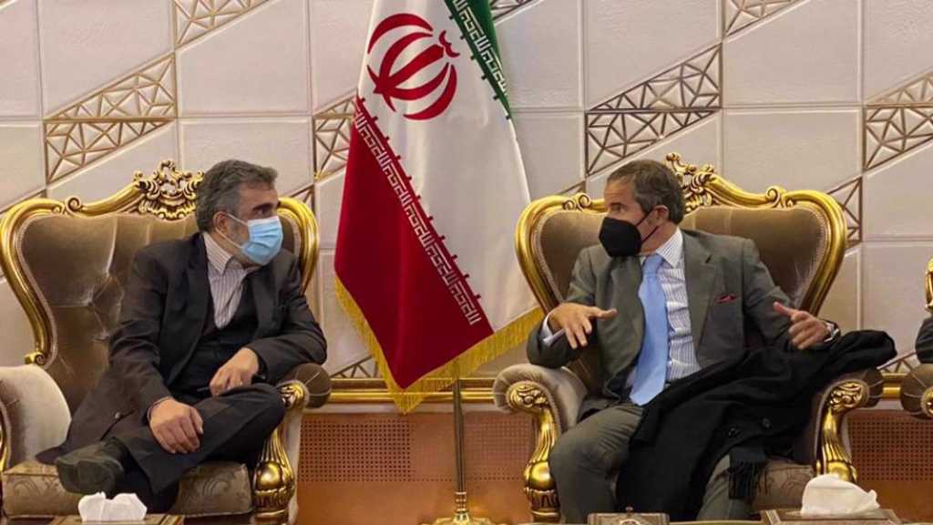 Head of IAEA in Tehran ahead of Vienna Talks