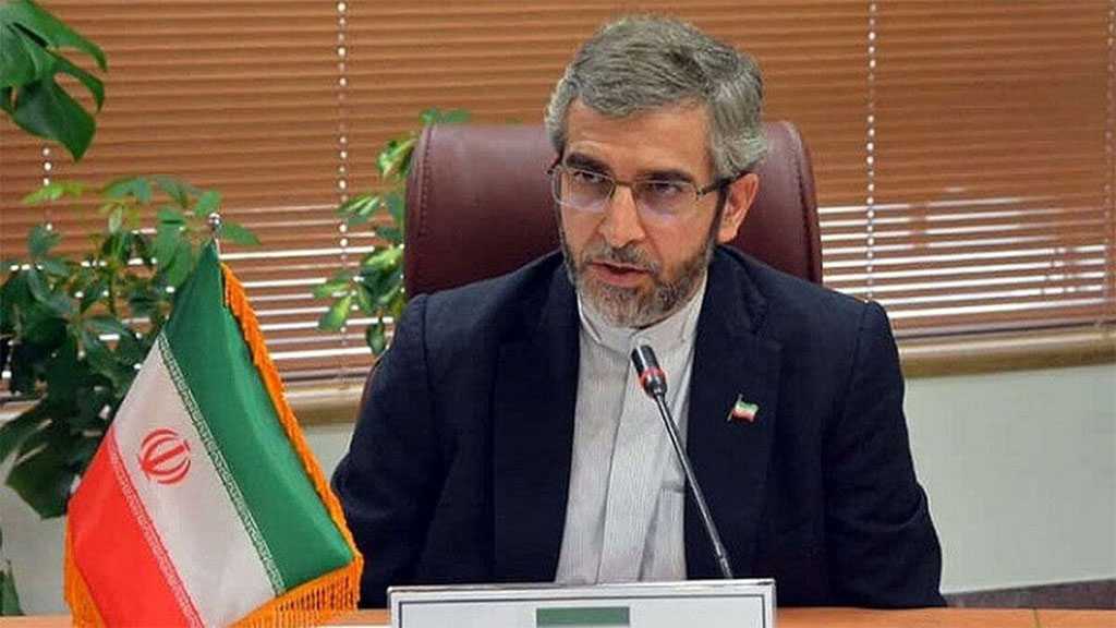Iran Seeks Full, Verifiable Removal of All Sanctions through Vienna Talks - Top Negotiator