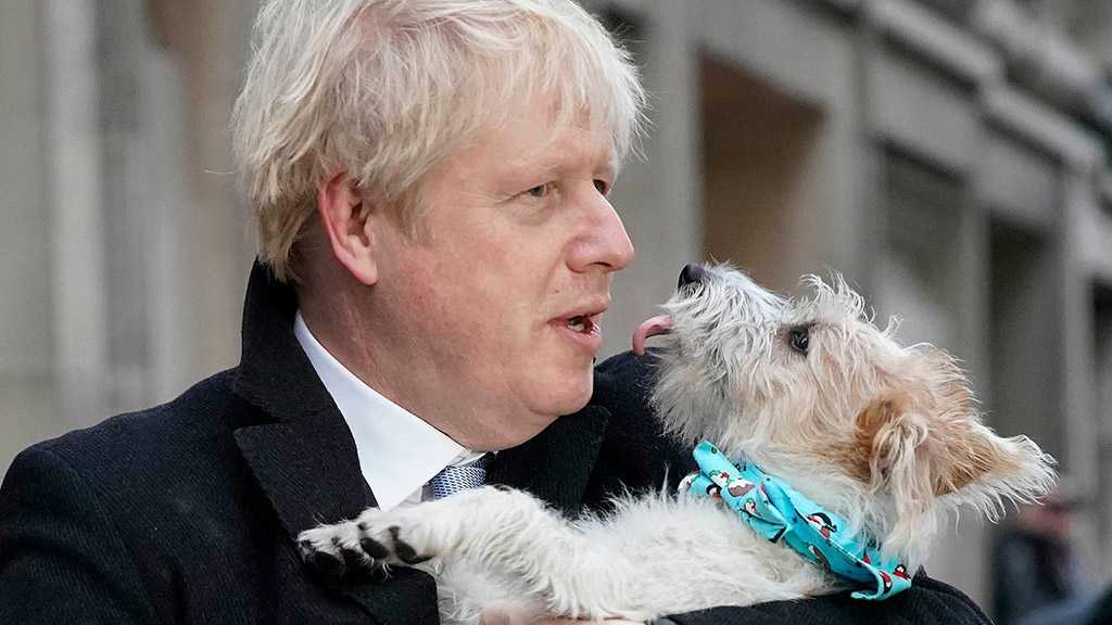 BoJo Denies Having Part in Afghanistan Animal Rescue Op. as New Emails Emerge