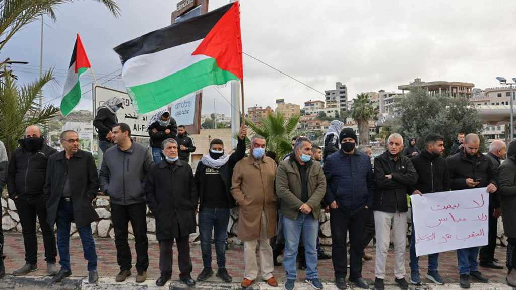 “Israel” to Resume Forestation Plan in Al-Naqab Near Palestinian Villages